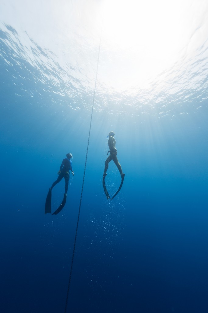 Professional Videos Oahu - Underwater Photography